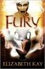 Cover image of Fury