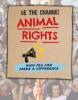 Cover image of Animal rights