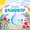 Cover image of Little raindrop