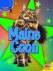 Cover image of Maine coon