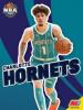 Cover image of Charlotte Hornets