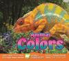 Cover image of Animal colors