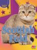 Cover image of Scottish fold