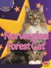 Cover image of Norwegian forest cat