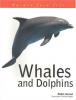 Cover image of Whales and dolphins