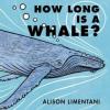 Cover image of How long is a whale?