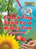 Cover image of From a tiny seed to a mighty tree