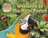 Cover image of Welcome to the rain forest
