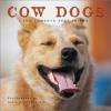 Cover image of Cow dogs