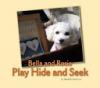 Cover image of Bella and Rosie play hide and seek