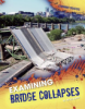 Cover image of Examining bridge collapses