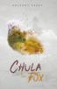 Cover image of Chula the fox