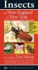 Cover image of Insects of New England & New York