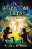 Cover image of Phantom Files: Twain's treasure