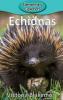 Cover image of Echidnas