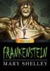 Cover image of Frankenstein