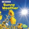 Cover image of Sunny weather