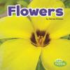 Cover image of Flowers