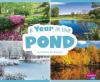 Cover image of A year in the pond