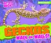 Cover image of Geckos walk on walls