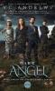 Cover image of Dark angel