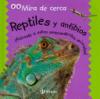 Cover image of Reptiles y anfibios