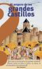 Cover image of Al amparo de los grandes castillos