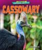 Cover image of Cassowary