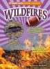 Cover image of Wildfires