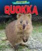 Cover image of Quokka