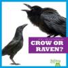 Cover image of Crow or raven?