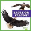 Cover image of Eagle or falcon?