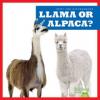 Cover image of Llama or alpaca?