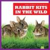 Cover image of Rabbit kits in the wild