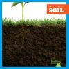 Cover image of Soil