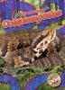 Cover image of Cottonmouths