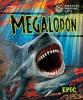 Cover image of Megalodon