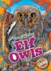 Cover image of Elf owls