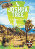 Cover image of Joshua Tree National Park