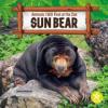 Cover image of Sun bear