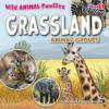 Cover image of Grassland animal groups